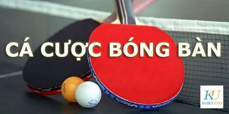 Cược chấp trong cá cược bóng bàn Kubet 